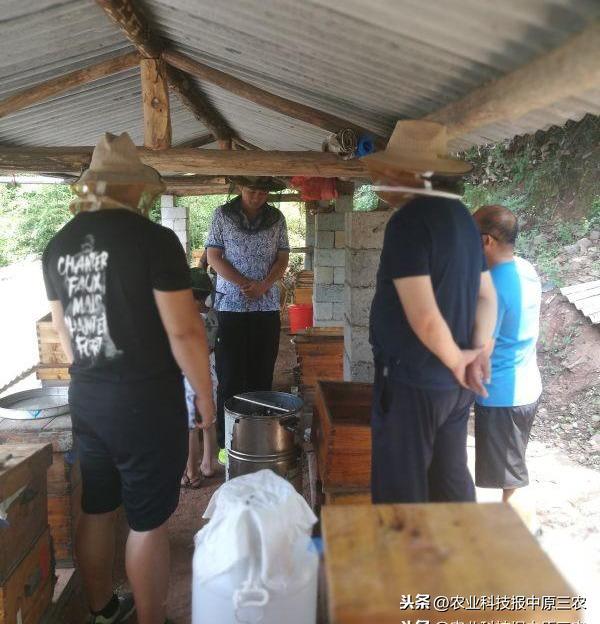 山东鲁山养殖致富_鲁山养殖业_鲁山畜牧业生产养殖基地
