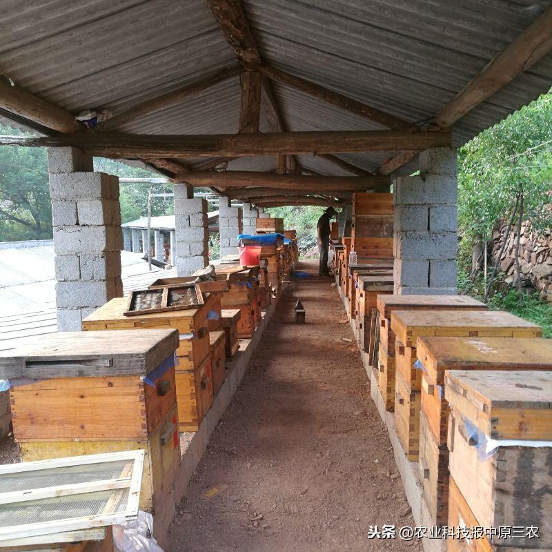 鲁山养殖业_鲁山畜牧业生产养殖基地_山东鲁山养殖致富