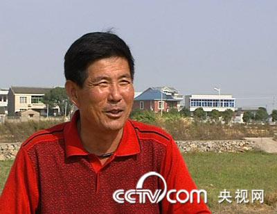 养殖对虾的前景_致富养殖对虾的要求_致富经养殖对虾