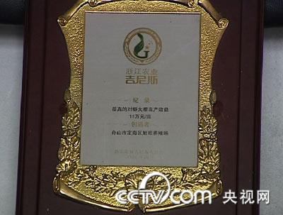致富养殖对虾的要求_养殖对虾的前景_致富经养殖对虾