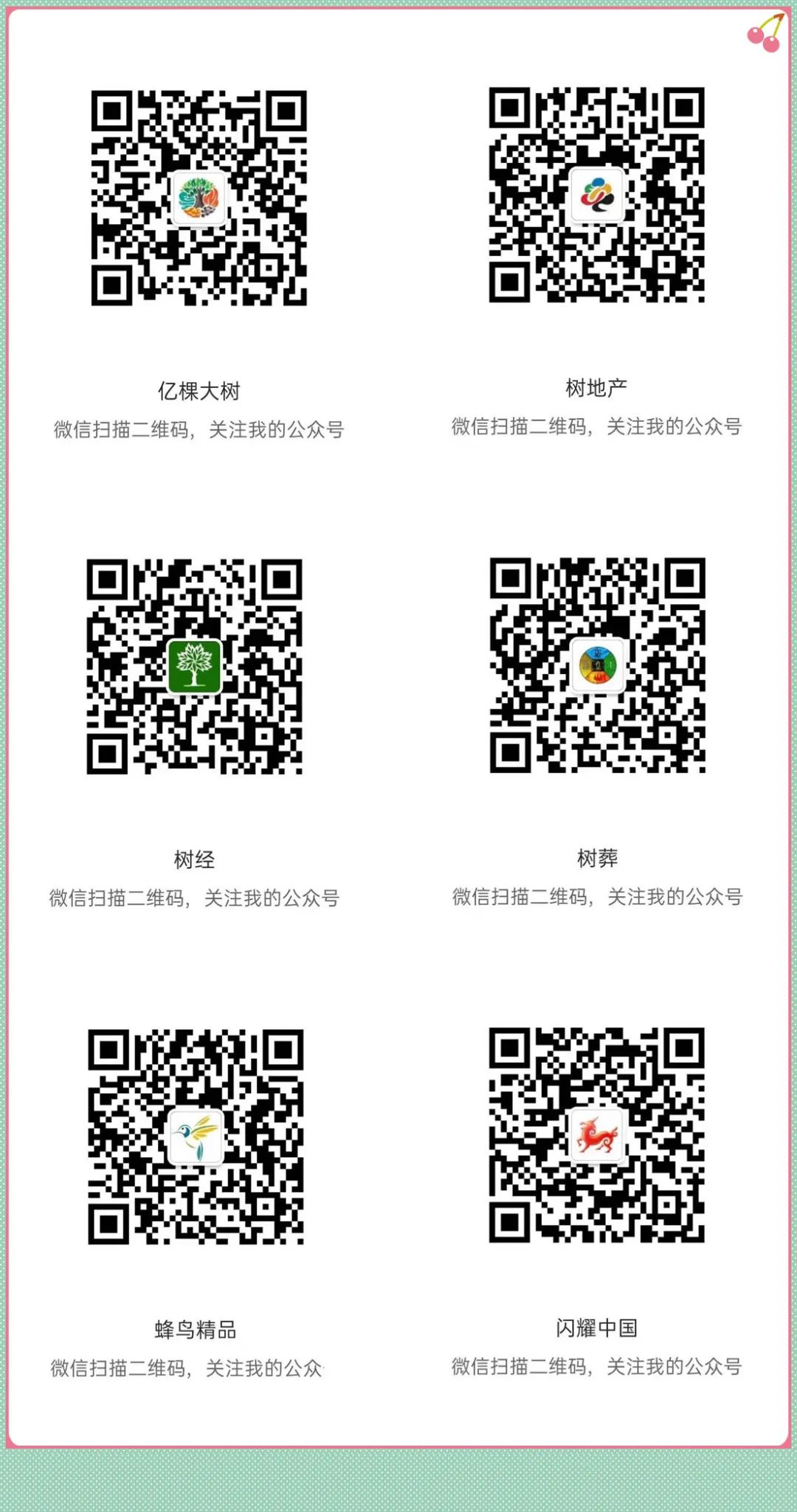 苗种植嫁接枇杷技术要求_枇杷苗种植与嫁接技术_苗种植嫁接枇杷技术视频