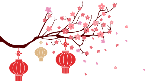 养殖蓝孔雀_致富经篮孔雀养殖_养殖蓝孔雀赚钱吗