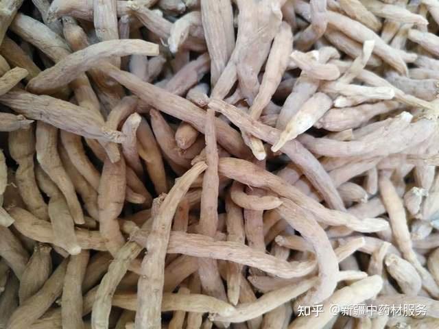 药材种植引领农民致富_药材种植致富项目_药材种植业致富项目
