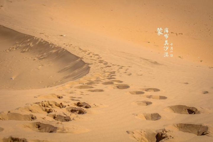 2024七星湖沙漠生态旅游区游玩攻略,玩完了刺激的项目，我们爬到