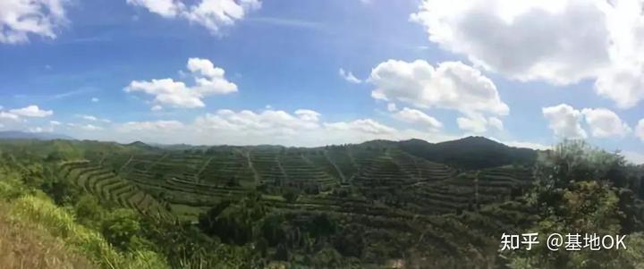 农民种植致富虫_养虫致富_种养致富