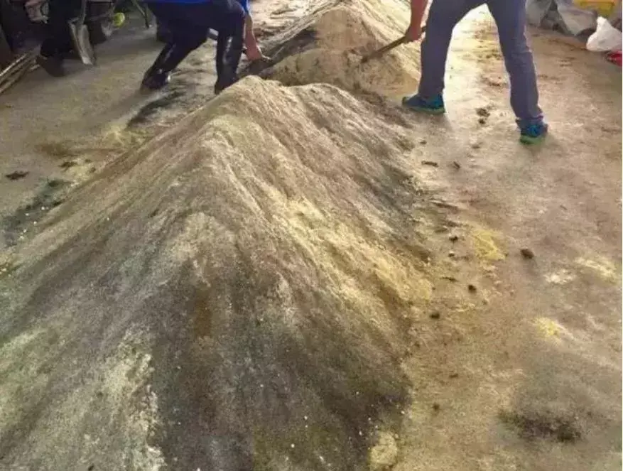 豆子高产种植新技术_致富神器豆子种植在哪里_豆子种植致富神器