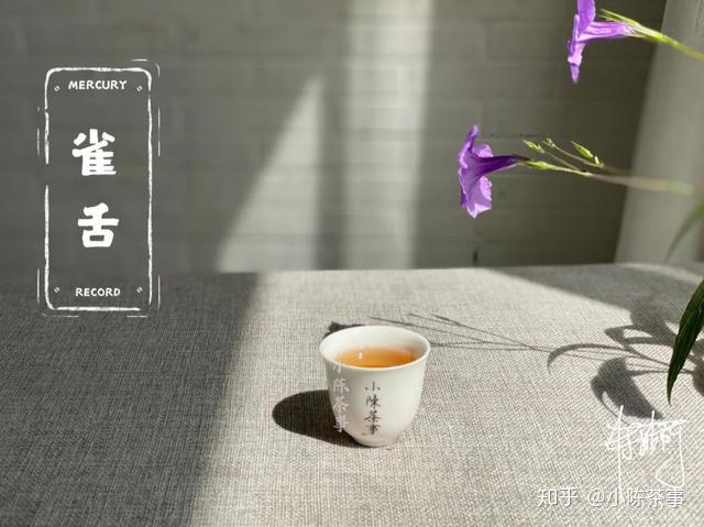 茶农种植致富视频_农村种植致富好项目视频_种植茶叶视频