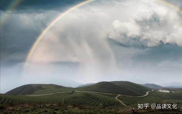 种植茶叶视频_茶农种植致富视频_农村种植致富好项目视频