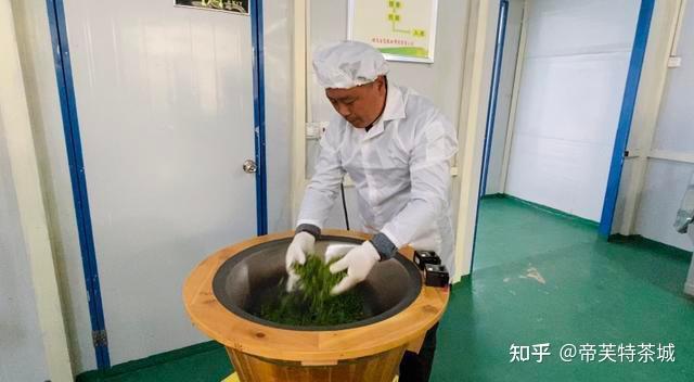 农村种植致富好项目视频_种植茶叶视频_茶农种植致富视频