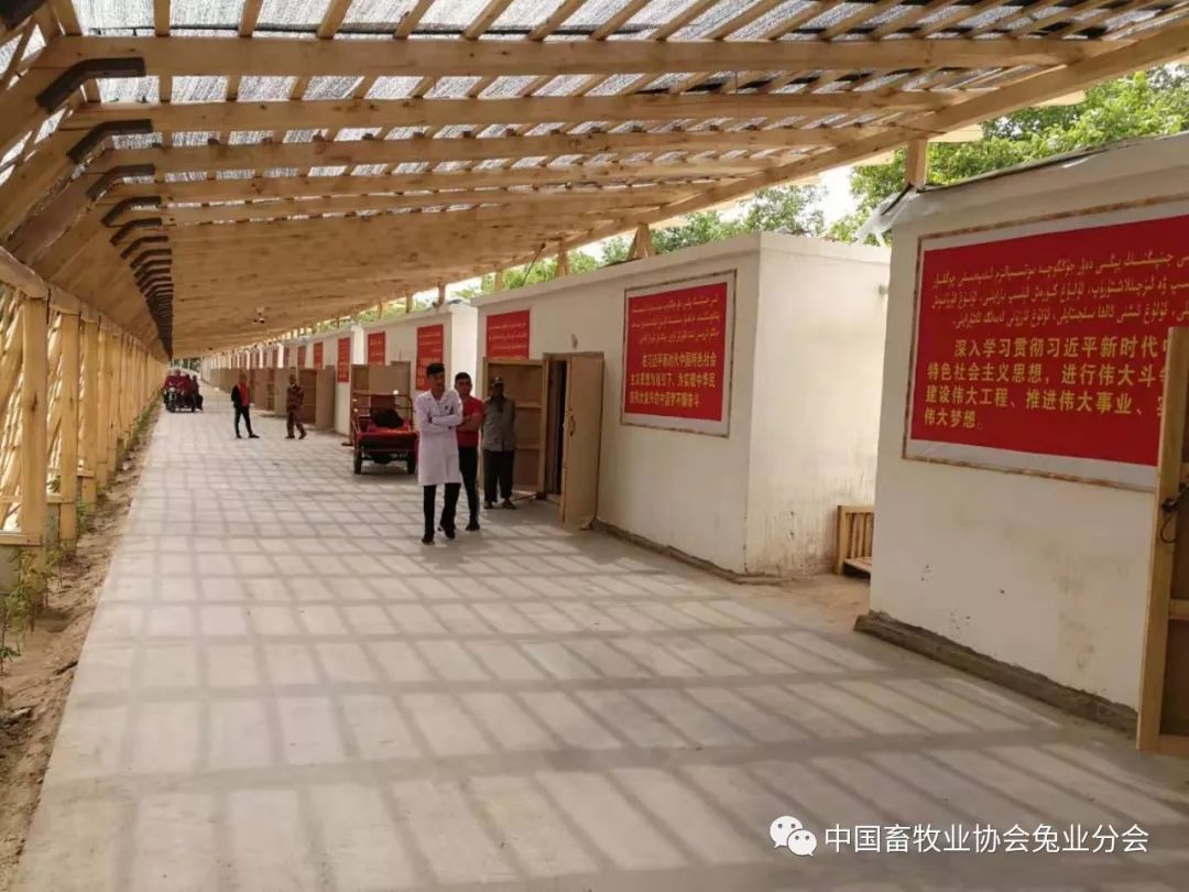 养肉公鸡的利润多高_公鸡养殖市场前景如何_肉公鸡养殖致富