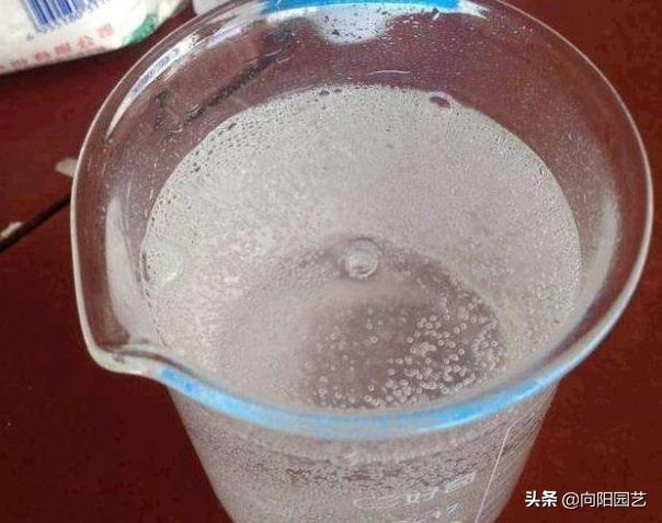 致富神器豆子种植在哪里_豆子种植致富神器_种豆子赚钱吗