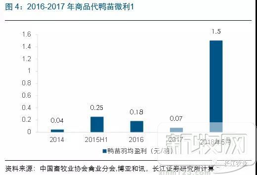 高邮鸭养殖技术视频_养鸭视频每日农经_养殖场鸭子视频