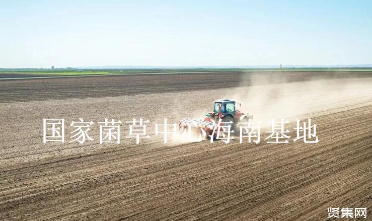 种植菌草作为绿肥的5种好处，及绿肥生产发展的重要性和必要性