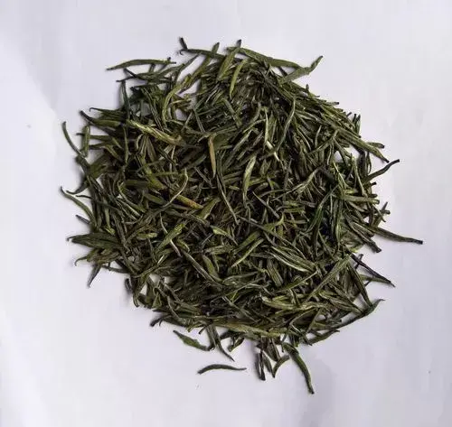 贵州生姜种植基地简介_贵州山区种生姜实用技术_贵州种植生姜致富