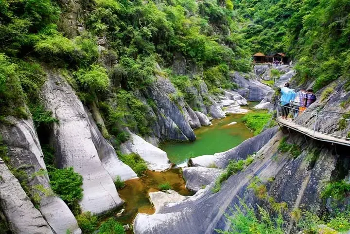 贵州生姜种植基地简介_贵州山区种生姜实用技术_贵州种植生姜致富