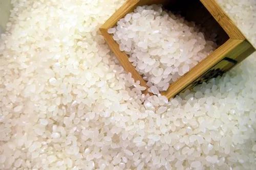 贵州山区种生姜实用技术_贵州生姜种植基地简介_贵州种植生姜致富