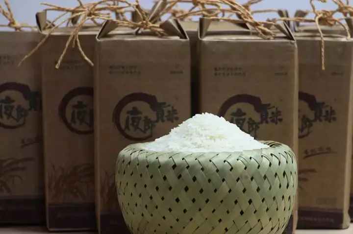 贵州山区种生姜实用技术_贵州种植生姜致富_贵州生姜种植基地简介