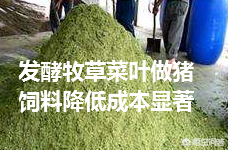 农广天地药材种植大全_农广天地草药种植技术_农广天地蔬菜种植大全