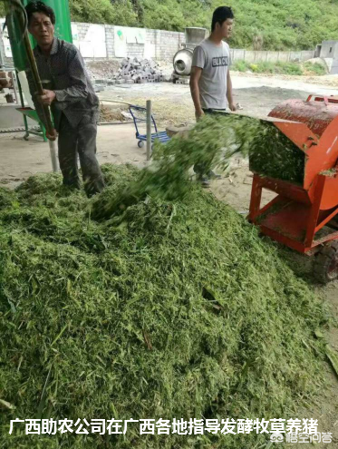 农广天地草药种植技术_农广天地药材种植大全_农广天地蔬菜种植大全