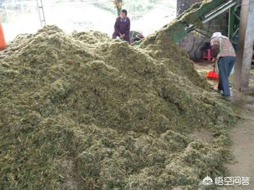 农广天地草药种植技术_农广天地药材种植大全_农广天地蔬菜种植大全
