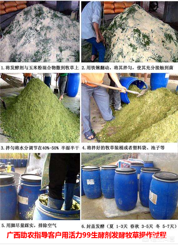 农广天地草药种植技术_农广天地药材种植大全_农广天地蔬菜种植大全