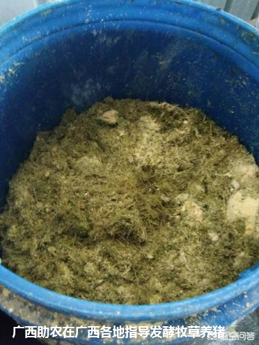 农广天地药材种植大全_农广天地草药种植技术_农广天地蔬菜种植大全