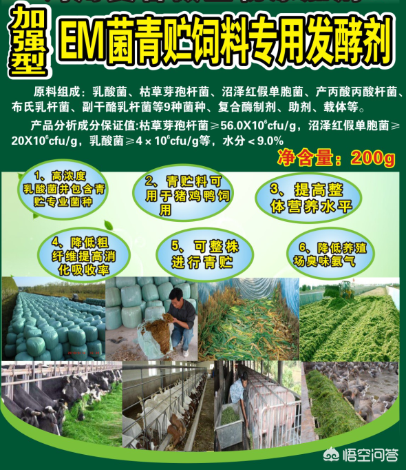 农广天地蔬菜种植大全_农广天地草药种植技术_农广天地药材种植大全