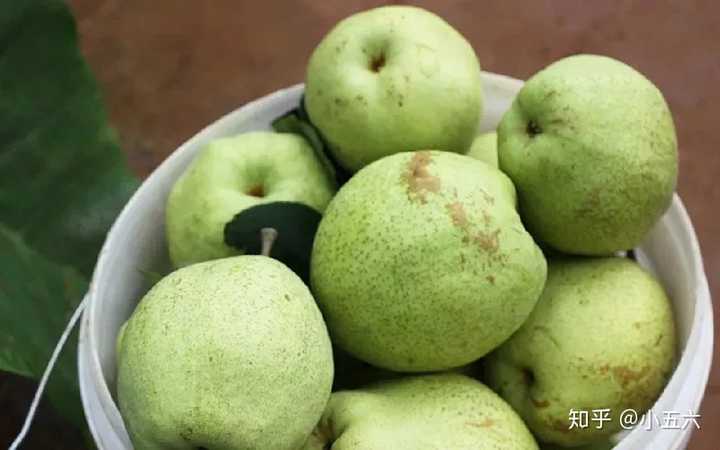 昆明红葱种植技术_云南红葱种植视频_昆明种葱怎么样