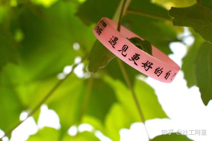 志愿服务典型经验_如何做好志愿工作_志愿工作的优质经验做法