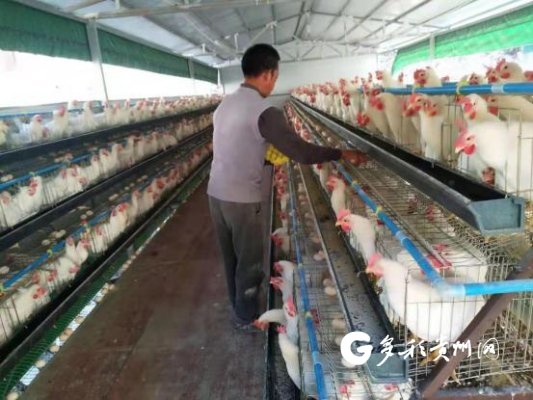 贵阳致富家地产_致富经贵州_贵州致富光谷投资有限公司