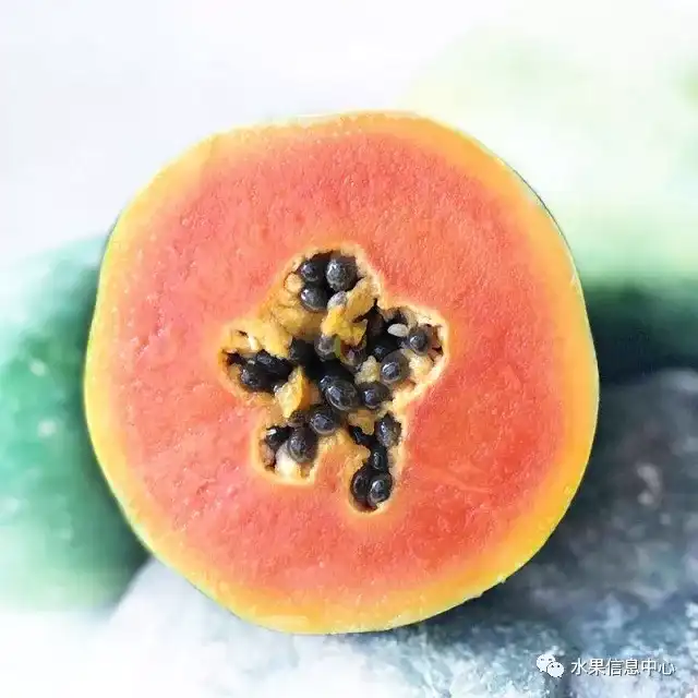 昆明的葱_昆明红葱今天价格_昆明红葱种植技术