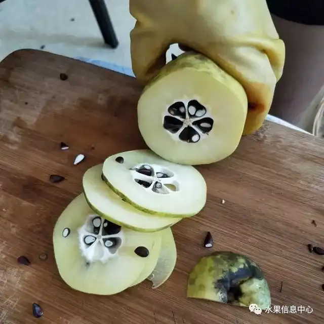 昆明红葱种植技术_昆明红葱今天价格_昆明的葱