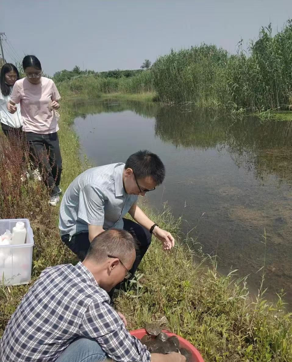 致富小伙养殖甲鱼图片_致富小伙养殖甲鱼是真的吗_致富经小伙养殖甲鱼