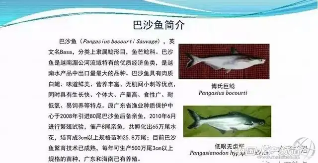 文章图片6