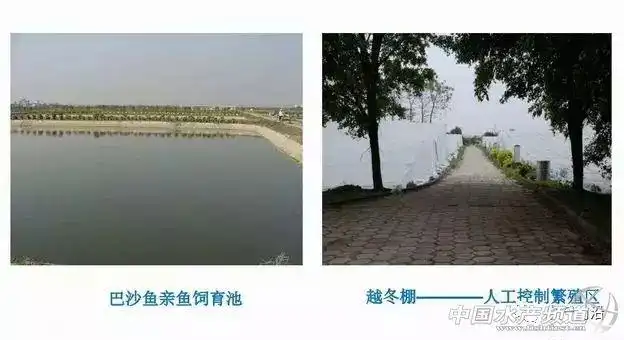 文章图片7