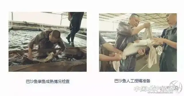 文章图片9