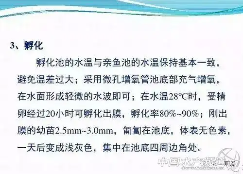 文章图片10