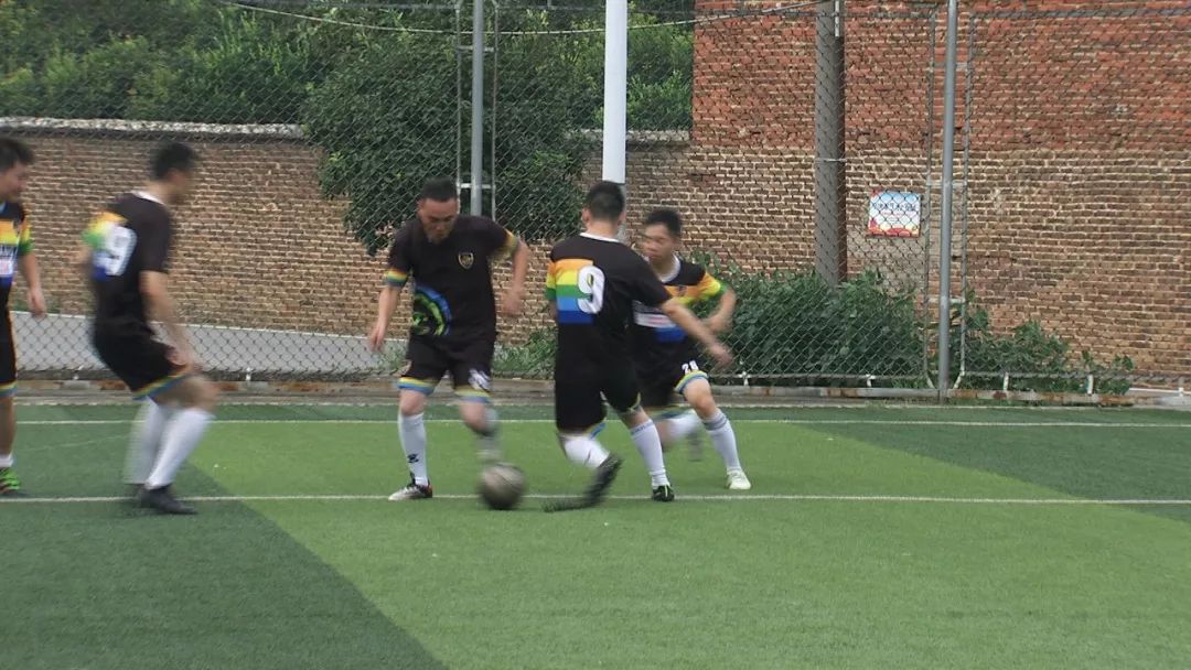 台湾泥鳅养殖成本和经济效益_致富经台湾泥鳅_台湾泥鳅养殖前景与利润