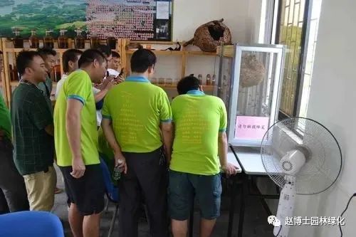 黑尾蜂养殖技术_蜂后怎么养_养黑尾蜂怎么养方法