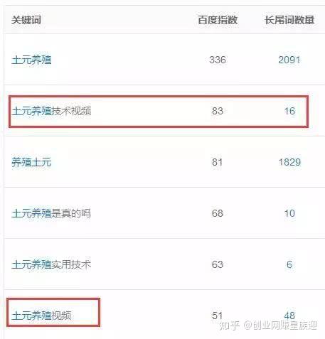 卖“土元”养殖教程，月赚2万的创业项目