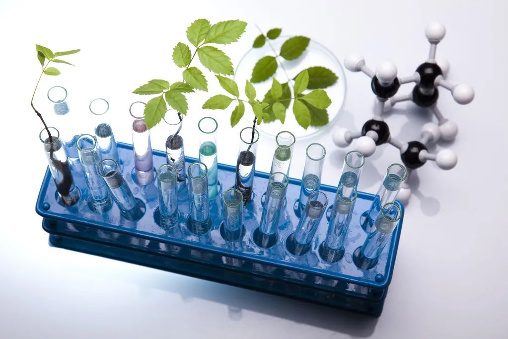 农村种植致富好项目视频_农业节目致富经种植视频_科学种植致富视频