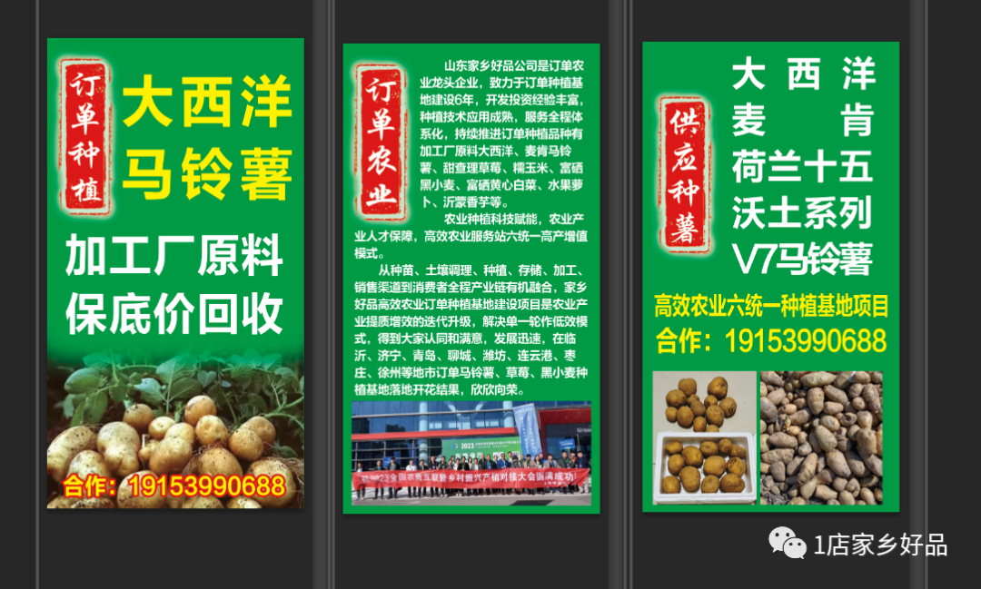 致富种植农业项目小结_农村致富项目种植业_农业种植致富小项目