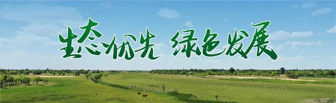 致富养牛创业视频_2021年致富经养牛视频_养牛致富经