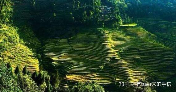 品味舌尖上的遵义，遵义饮食文化