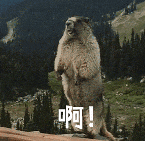 cctv致富经全部视频全集视频_致富小视频_致富经视频大全