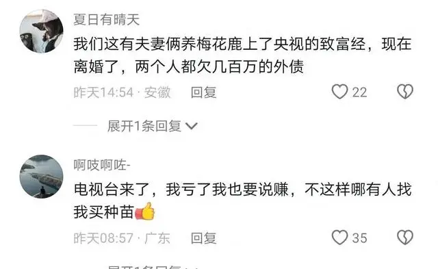 致富经葡萄_致富经葡萄盆景视频_致富经盆栽葡萄