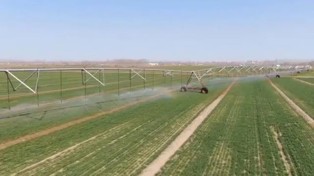 粮食绿色高产高效创建_种植粮食的视频_绿色粮食种植致富