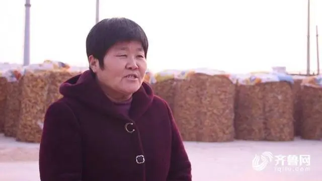 粮食绿色高产高效创建_绿色粮食种植致富_种植粮食的视频