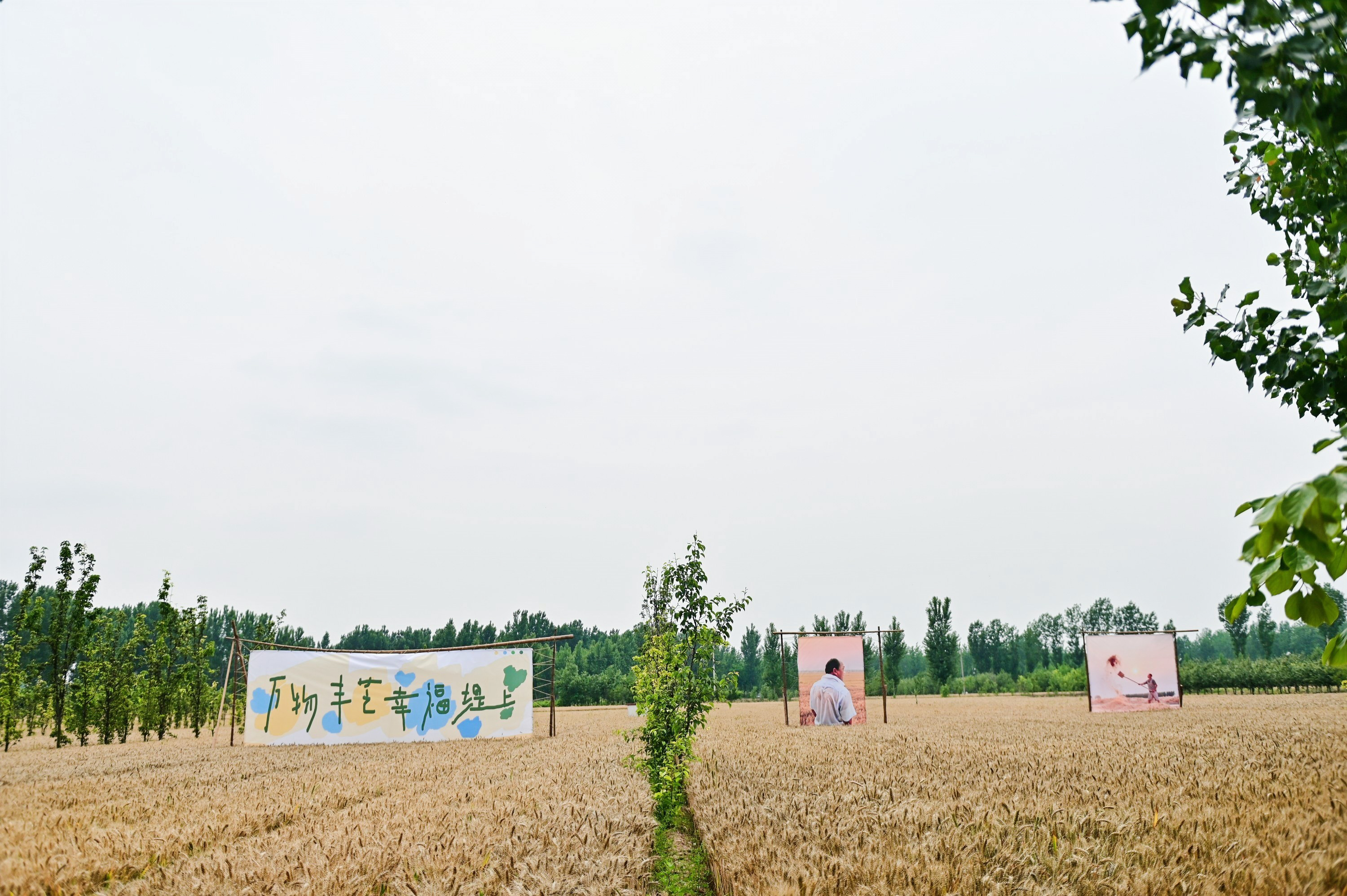 滑县养殖业发展概况_滑县养殖致富_滑县养殖最多的是哪个镇