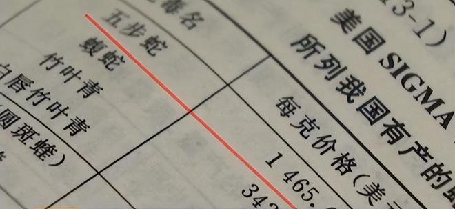 养殖技术蛇_养殖蛇技术及管理_养殖蛇技术大全